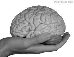 Social, Ethical,and Human Issues: Standard:BCS-CA 1-1