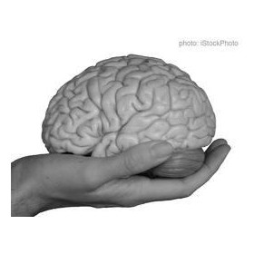 Social, Ethical,and Human Issues: Standard:BCS-CA 1-1